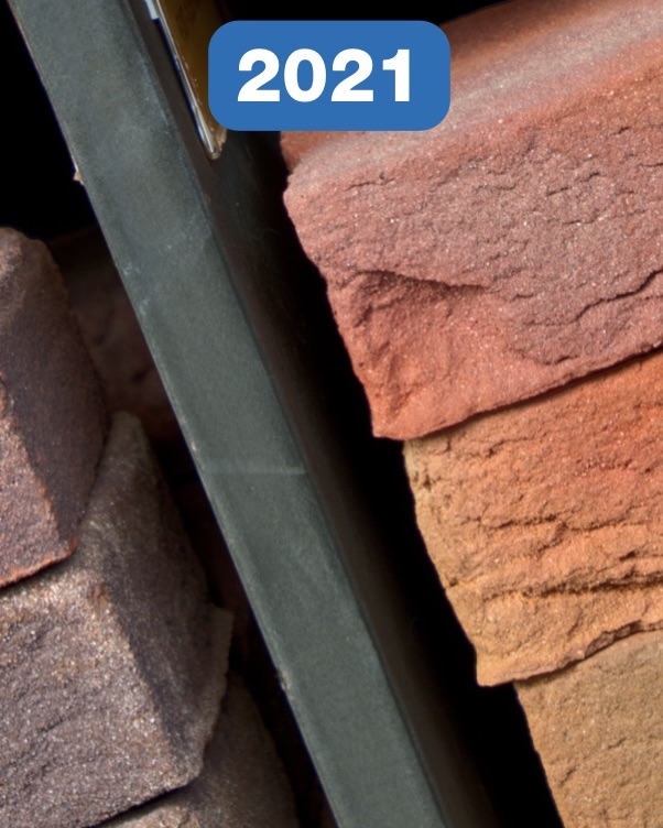 Jaarverslag 2021 Bpf HiBiN